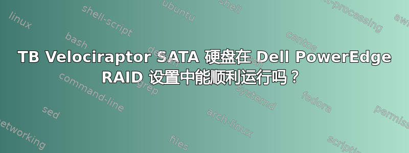 1 TB Velociraptor SATA 硬盘在 Dell PowerEdge RAID 设置中能顺利运行吗？