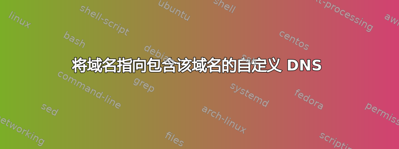 将域名指向包含该域名的自定义 DNS