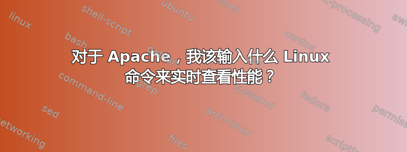 对于 Apache，我该输入什么 Linux 命令来实时查看性能？