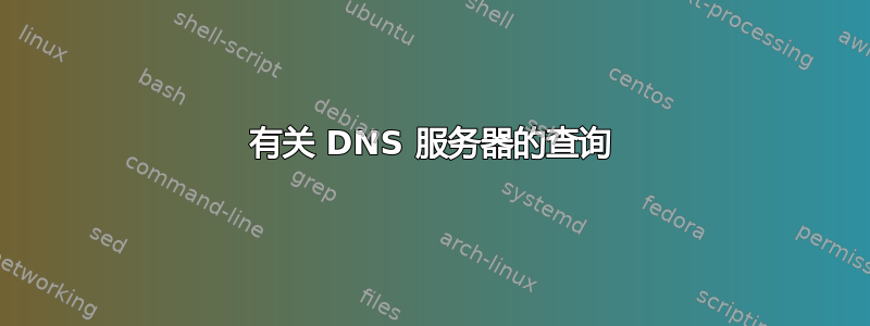 有关 DNS 服务器的查询