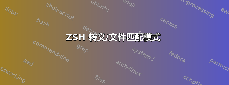 ZSH 转义/文件匹配模式