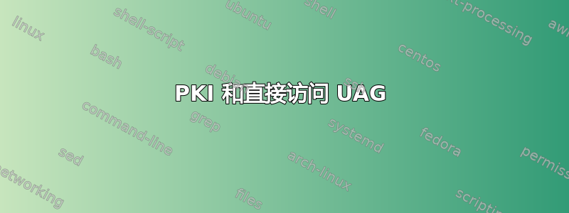 PKI 和直接访问 UAG