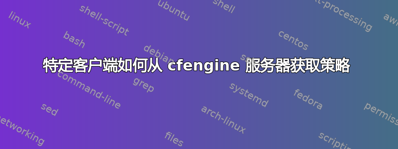 特定客户端如何从 cfengine 服务器获取策略