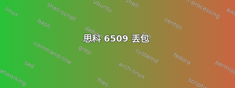 思科 6509 丢包