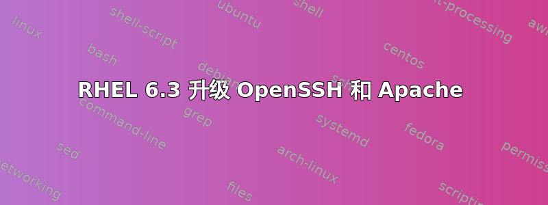 RHEL 6.3 升级 OpenSSH 和 Apache