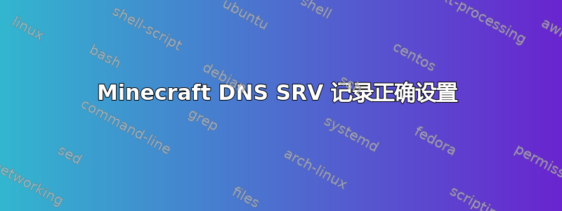 Minecraft DNS SRV 记录正确设置