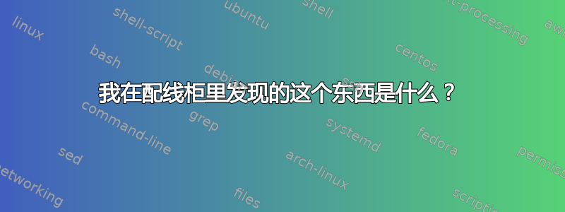 我在配线柜里发现的这个东西是什么？