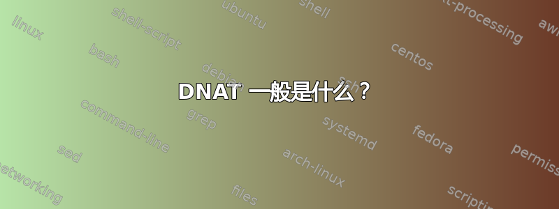 DNAT 一般是什么？