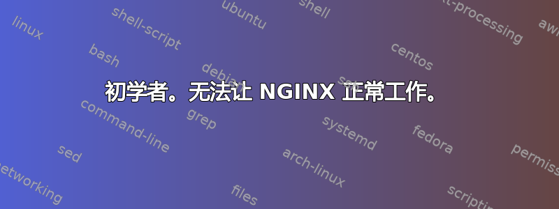 初学者。无法让 NGINX 正常工作。