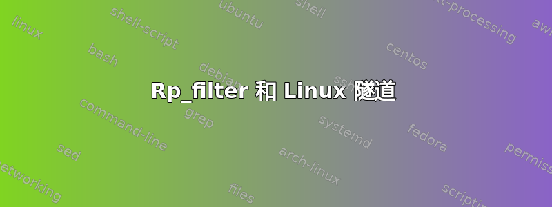 Rp_filter 和 Linux 隧道