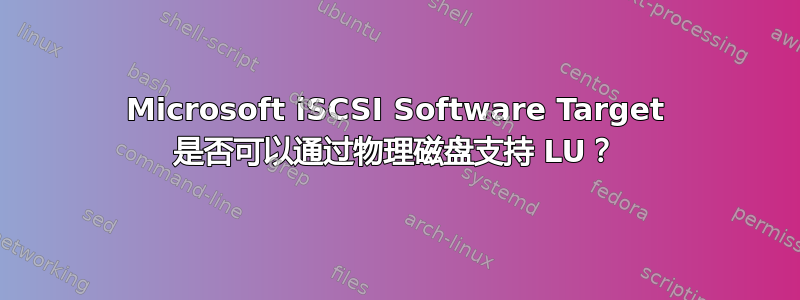 Microsoft iSCSI Software Target 是否可以通过物理磁盘支持 LU？