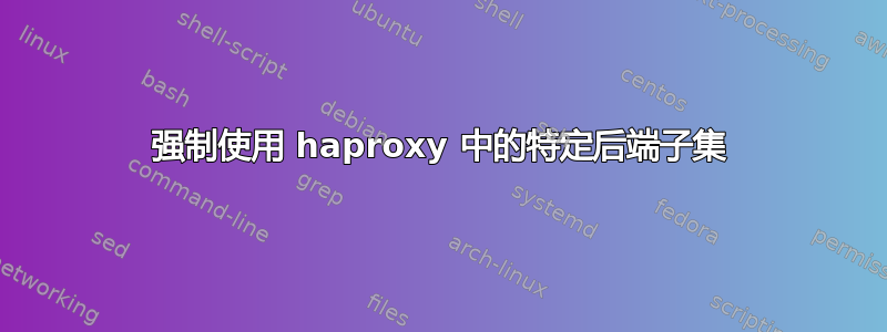 强制使用 haproxy 中的特定后端子集