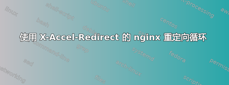 使用 X-Accel-Redirect 的 nginx 重定向循环