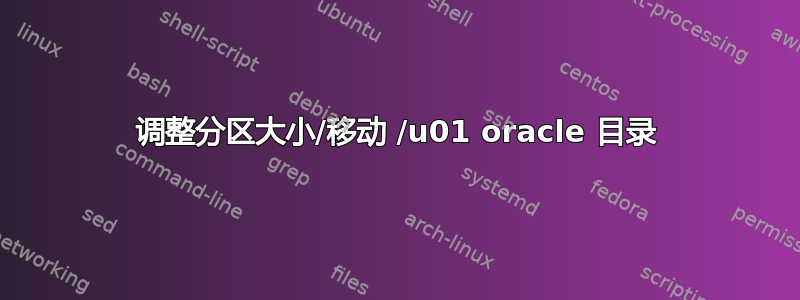 调整分区大小/移动 /u01 oracle 目录