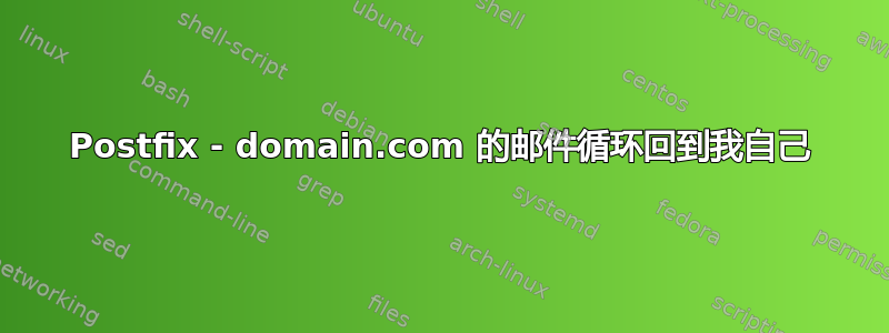 Postfix - domain.com 的邮件循环回到我自己