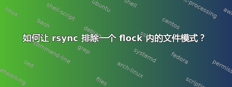 如何让 rsync 排除一个 flock 内的文件模式？