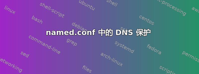 named.conf 中的 DNS 保护