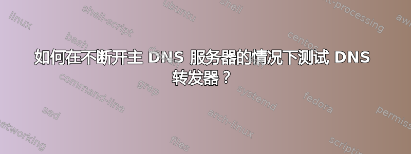 如何在不断开主 DNS 服务器的情况下测试 DNS 转发器？