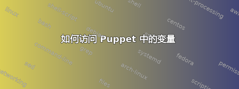 如何访问 Puppet 中的变量