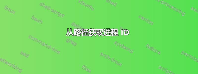 从路径获取进程 ID