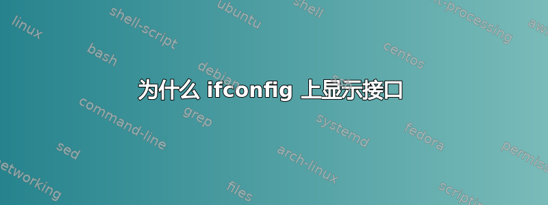 为什么 ifconfig 上显示接口