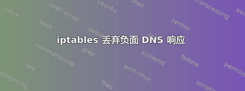 iptables 丢弃负面 DNS 响应