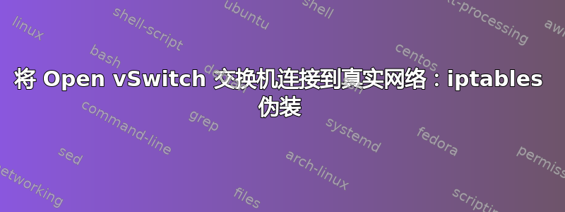 将 Open vSwitch 交换机连接到真实网络：iptables 伪装