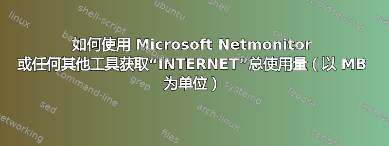 如何使用 Microsoft Netmonitor 或任何其他工具获取“INTERNET”总使用量（以 MB 为单位）