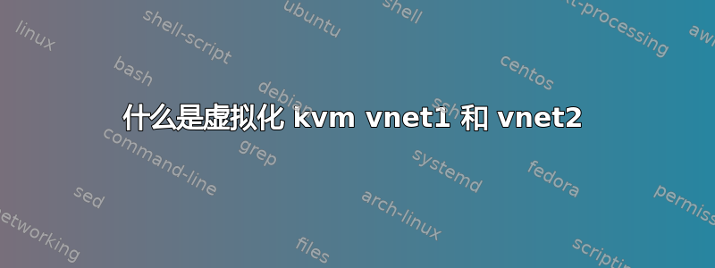 什么是虚拟化 kvm vnet1 和 vnet2