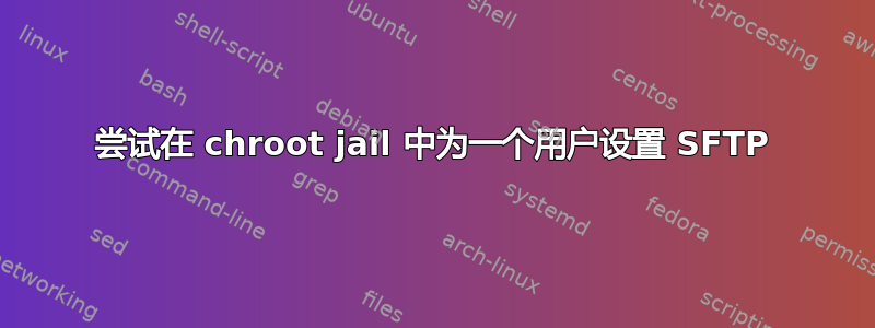 尝试在 chroot jail 中为一个用户设置 SFTP