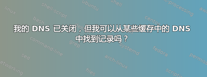 我的 DNS 已关闭，但我可以从某些缓存中的 DNS 中找到记录吗？