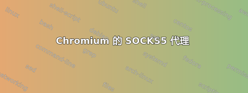 Chromium 的 SOCKS5 代理