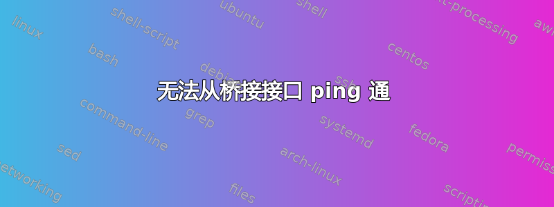 无法从桥接接口 ping 通