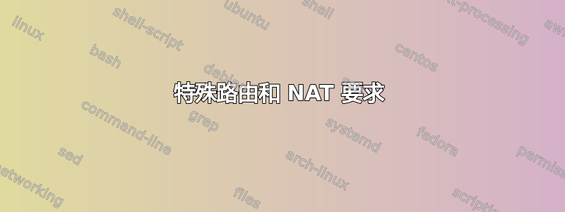 特殊路由和 NAT 要求