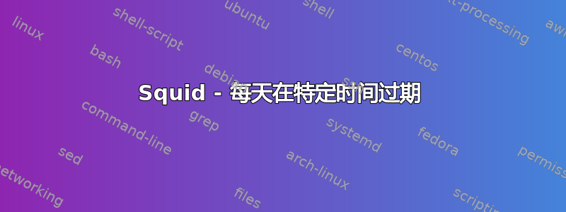 Squid - 每天在特定时间过期