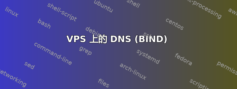 VPS 上的 DNS (BIND)