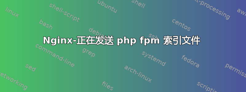 Nginx-正在发送 php fpm 索引文件