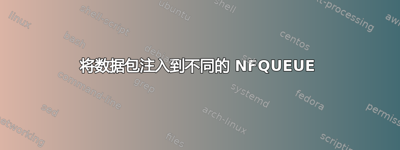 将数据包注入到不同的 NFQUEUE