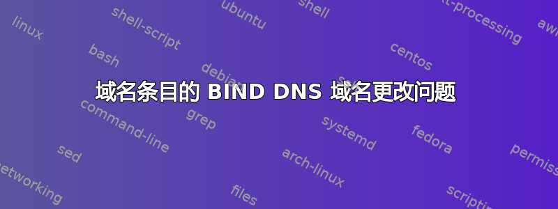 域名条目的 BIND DNS 域名更改问题