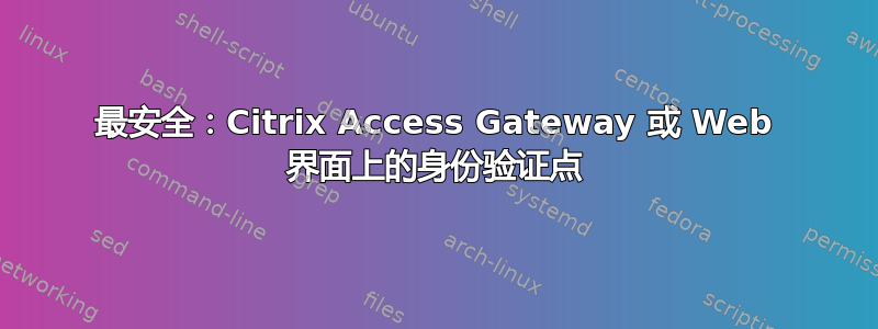 最安全：Citrix Access Gateway 或 Web 界面上的身份验证点