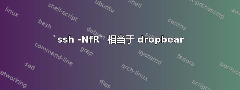 `ssh -NfR` 相当于 dropbear