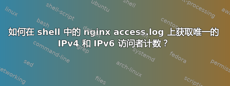 如何在 shell 中的 nginx access.log 上获取唯一的 IPv4 和 IPv6 访问者计数？