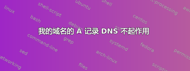 我的域名的 A 记录 DNS 不起作用