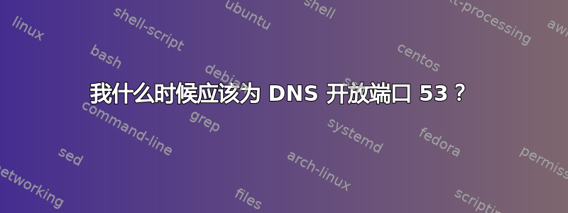 我什么时候应该为 DNS 开放端口 53？