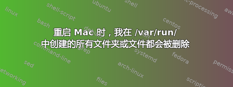 重启 Mac 时，我在 /var/run/ 中创建的所有文件夹或文件都会被删除