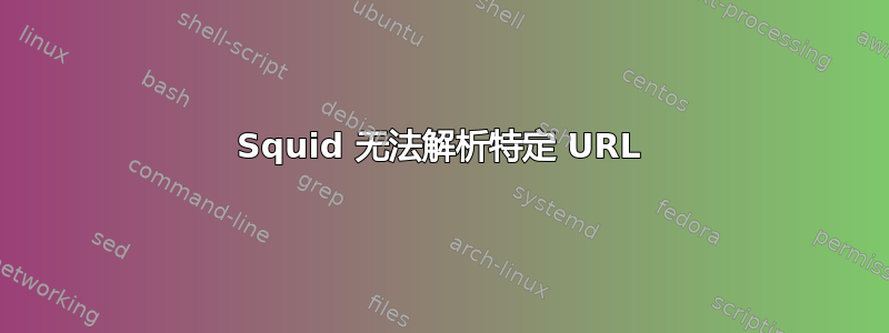 Squid 无法解析特定 URL