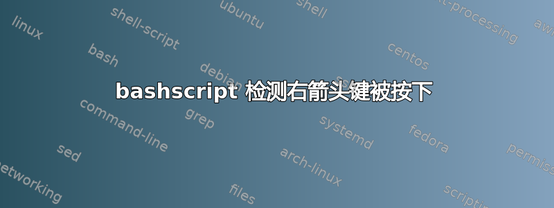 bashscript 检测右箭头键被按下