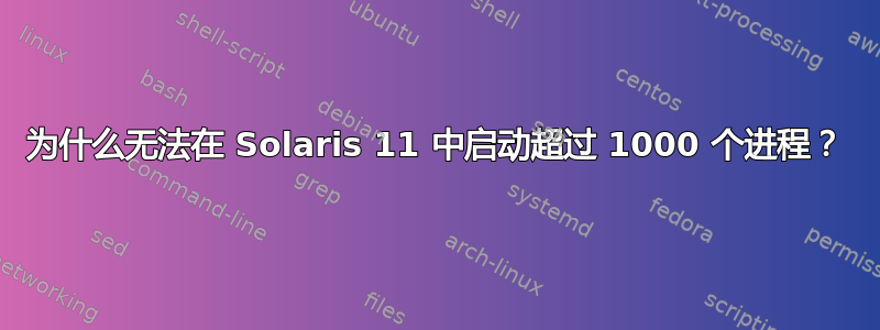 为什么无法在 Solaris 11 中启动超过 1000 个进程？