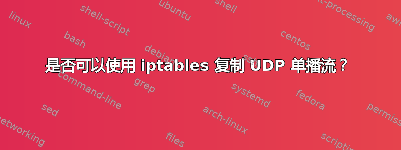 是否可以使用 iptables 复制 UDP 单播流？