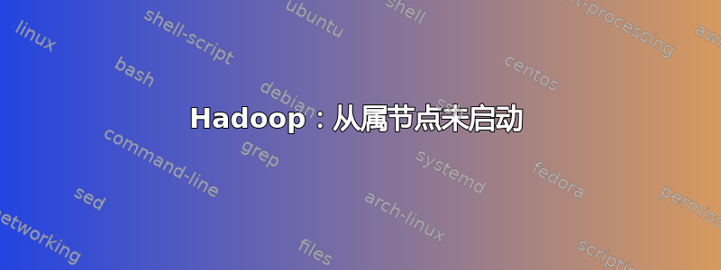 Hadoop：从属节点未启动